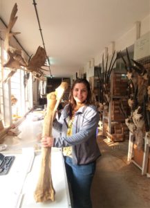 A woman, Michelle Lawing, holds a giraffe bone in the National Museums of Kenya collection. 