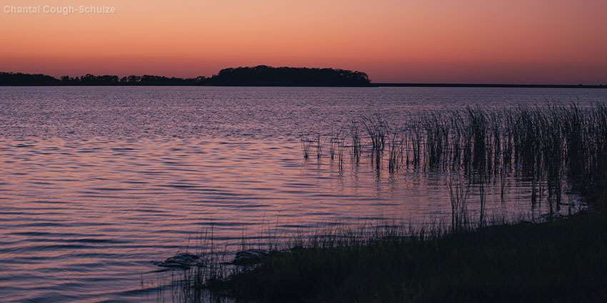 A lake shore with a setting sun that casts a pink hue across the water.