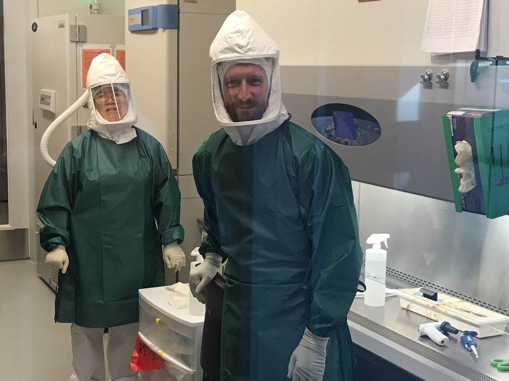 Two individuals dressed in lab clothing and biosecure masks in a Level 3 lab at Texas A&M Veterinary Medical Diagnostic Laboratory