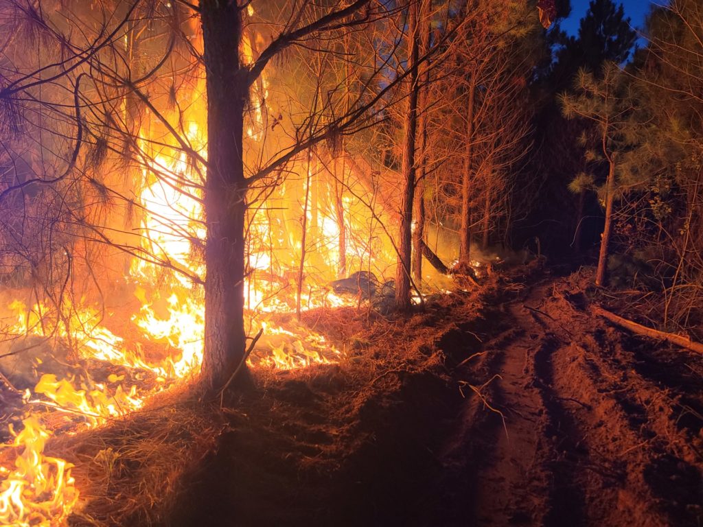 a bright orange glow lights up a wooded area next to a fire line or dirt road indicating a growing wildfire danger