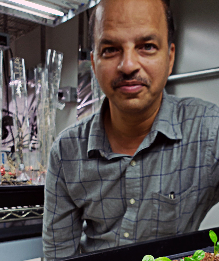 A man, Vijay Joshi, in a lab setting