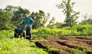 A man tills up weedy land, turning over fresh dirt. This land use contributes to carbon and water flux. 