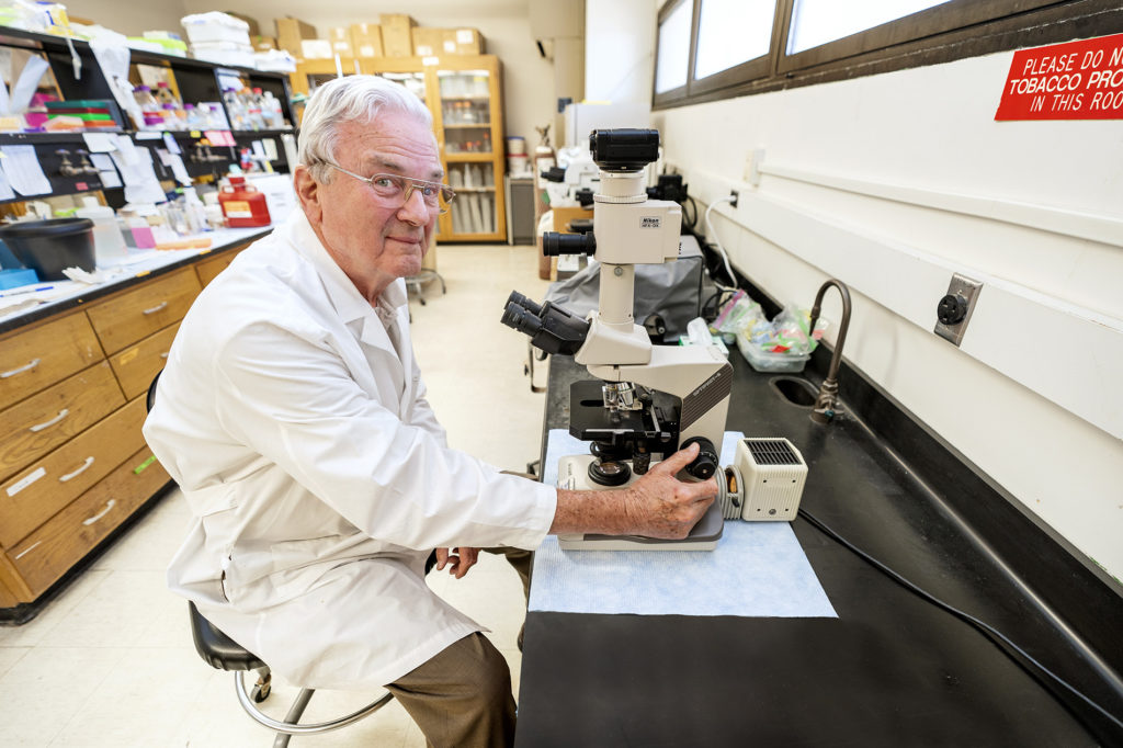 A man, Fuller Bazer, dressed in a lab coat works at a microscope in a lab setting on the creatine dietary supplements
