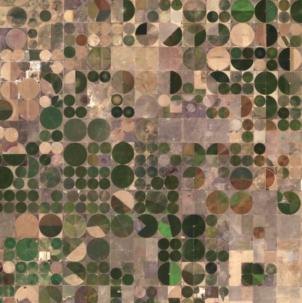 A brown patchwork of green circles indicating where center pivot sprinkler systems are located near Dumas.
  