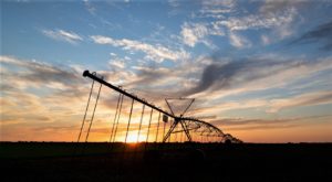 Irrigation pivot system silhouetted at sunset