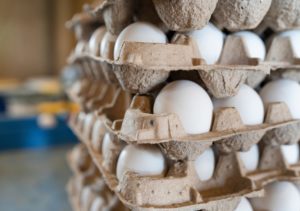 Eggs in large holding cartons