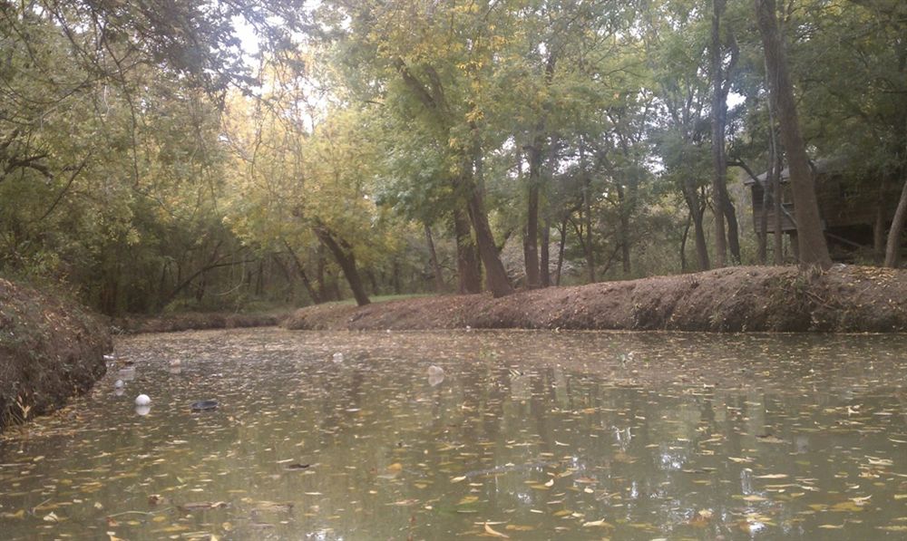 Clear Creek, which is a brown and green shade. in the foreground with a dirt bank behind it in which trees with green leaves are growing. The water has leaves abd other debris floating in it.