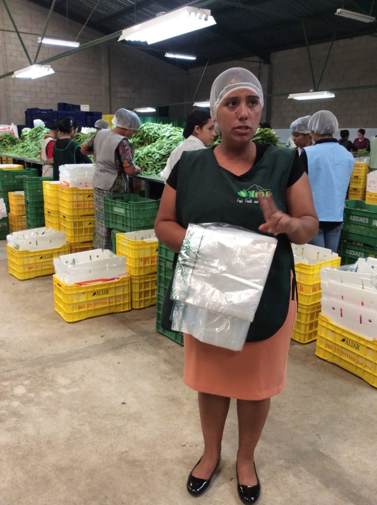 A woman stands in a warehouse with packaging materials in her hand and a hairnet on her head.