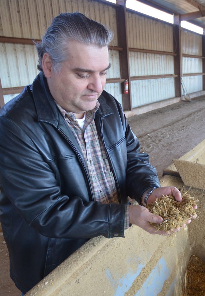 A man, Luis Tedeschi, holding feeding material in a barn