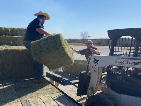 A man, Bryan Davis, unloading hay from a trailer, handing it down to another man for Animal Supply point.