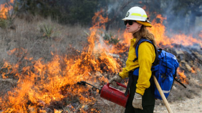 Texas A&M Forest Service personnel overseeing a prescribed fire