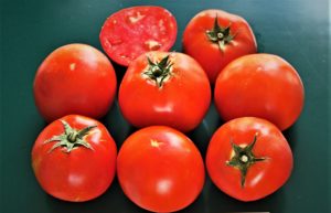 A group of bright red, round Valley Cat tomatoes