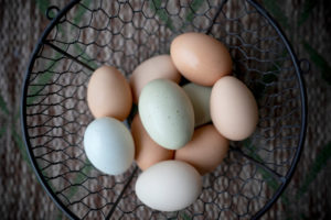 brown, pink, and blue eggs laying in a wire basket