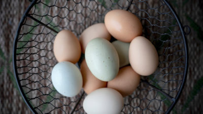 brown, pink, and blue eggs laying in a wire basket