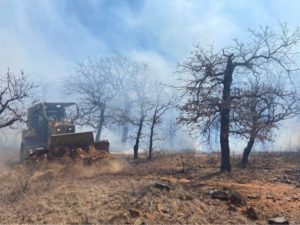 Dozer digs fire line  along burned out trees