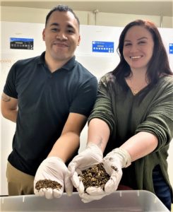 Christian Anguiano (left) and Kelsey Gipson holding mealworms in lab. 