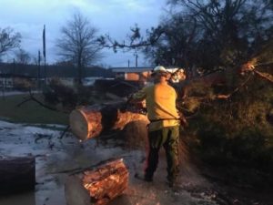 A man, Jason Jones, dressed in a yellow jacket cuts fallen trees with a chainsaw following tornado outbreak