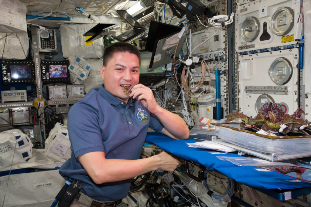 Kjell Lindren eating lettuce grown without soil on the International Space Station 
