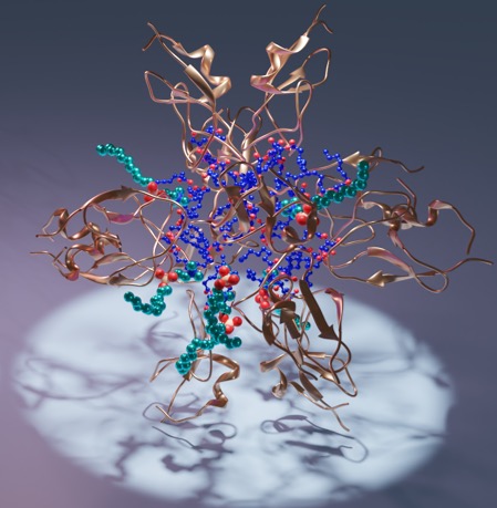 artistic rendering of the C1 domain with ligands. There are tiny turquoise, blue, and red beads weaved in on strands of copper colored bands.