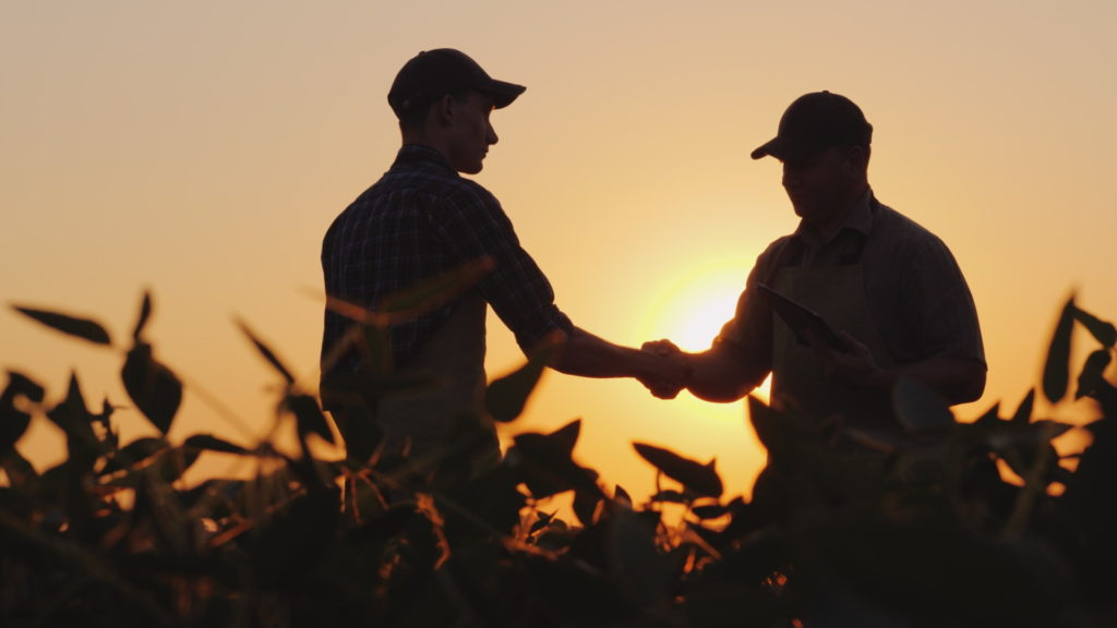 Shadowed farmers shaking hands in the middles of a field with the setting sun