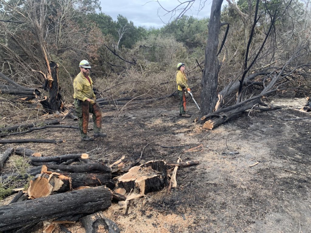 Male and female firefighters look at trees burned in a wildfire.