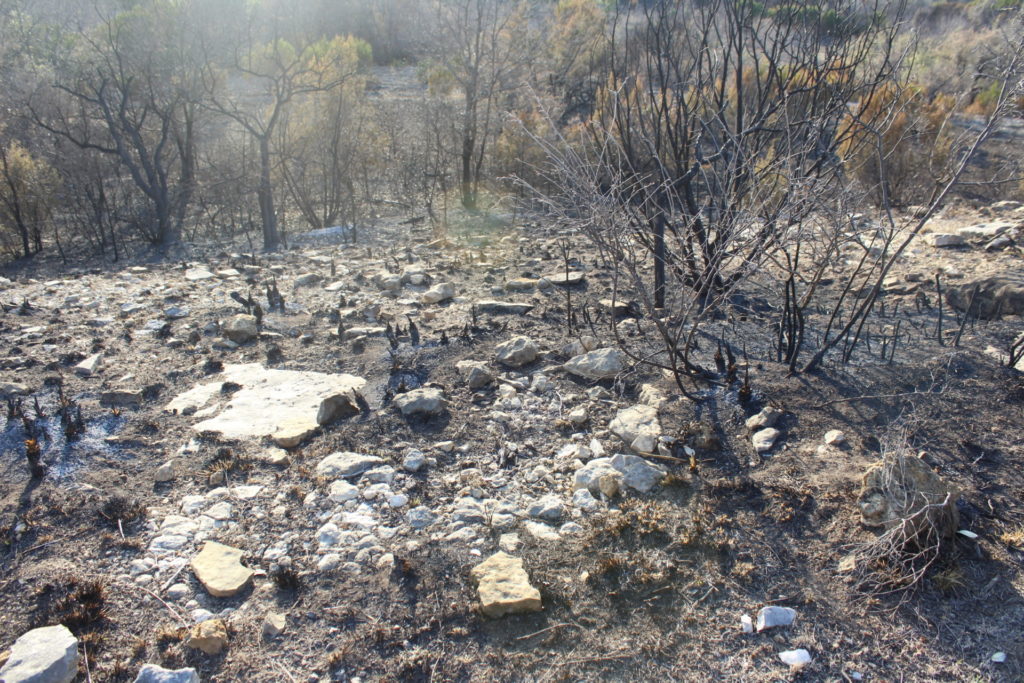 Ranch land scorched by a wildfire.