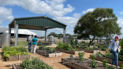 The recently enhanced vegetable garden in Fort Bend County with raised beds with green plants in them. A few people stand in the foreground preparing for the opening event.