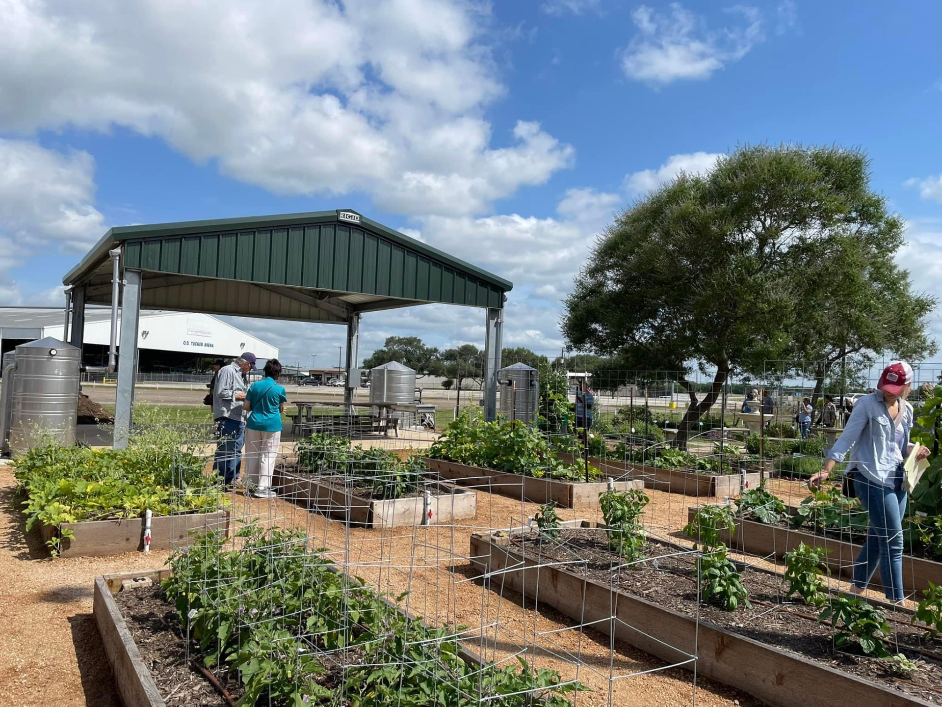 New Vegetable Garden Education Center Opens June 3 In Rosenberg