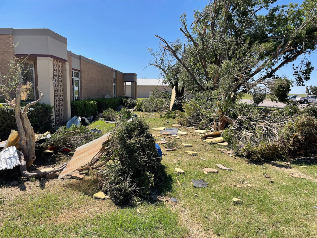 Broken branches from large trees and uprooted bushes are strewn alongside a damaged building.