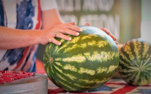 A woman's hands are laying on top of a striped watermelon, with a second one beside it 