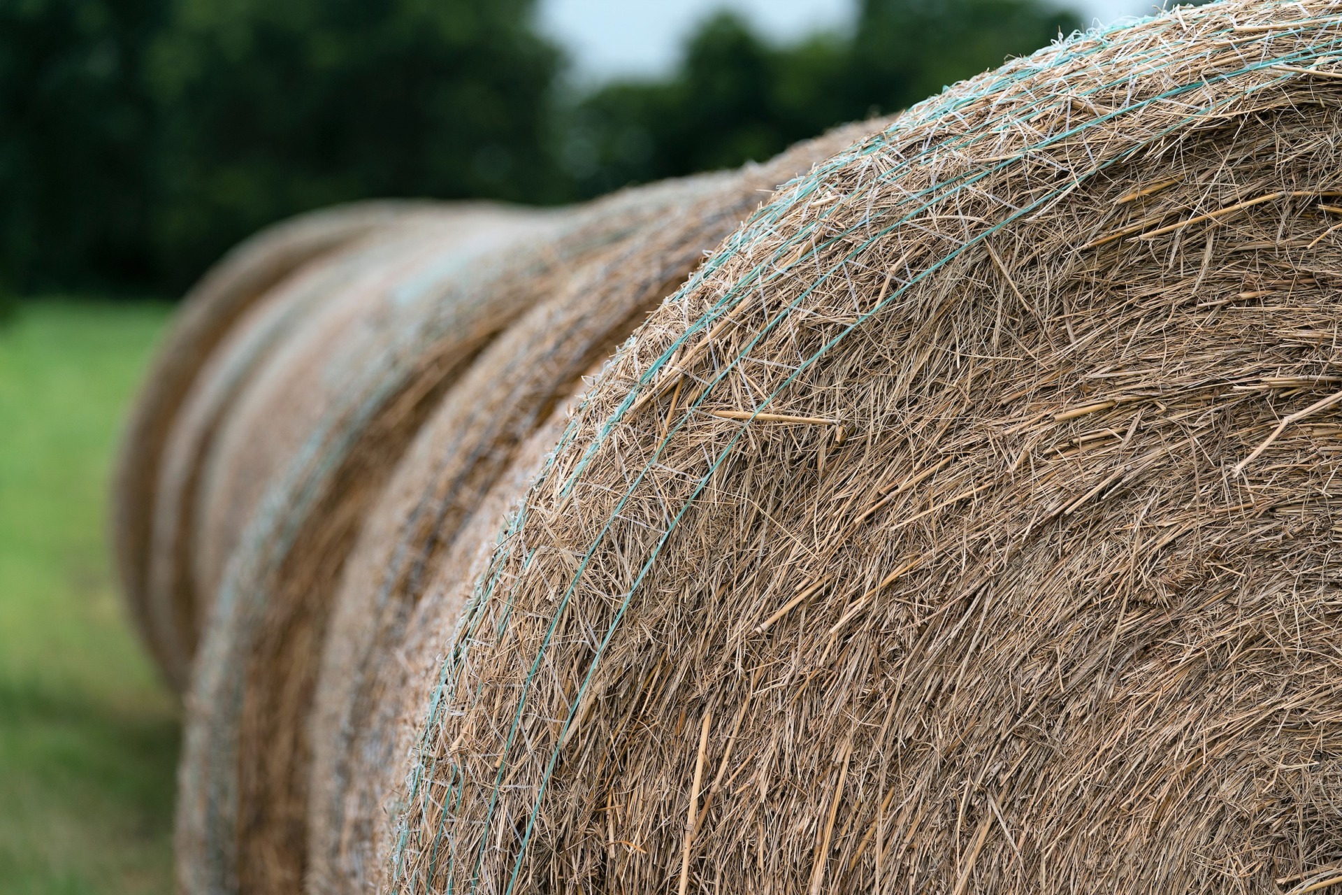 Texas hay season looks bleak