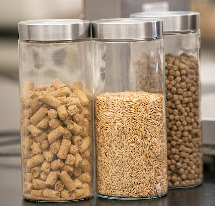 Types of horse feed in glass containers