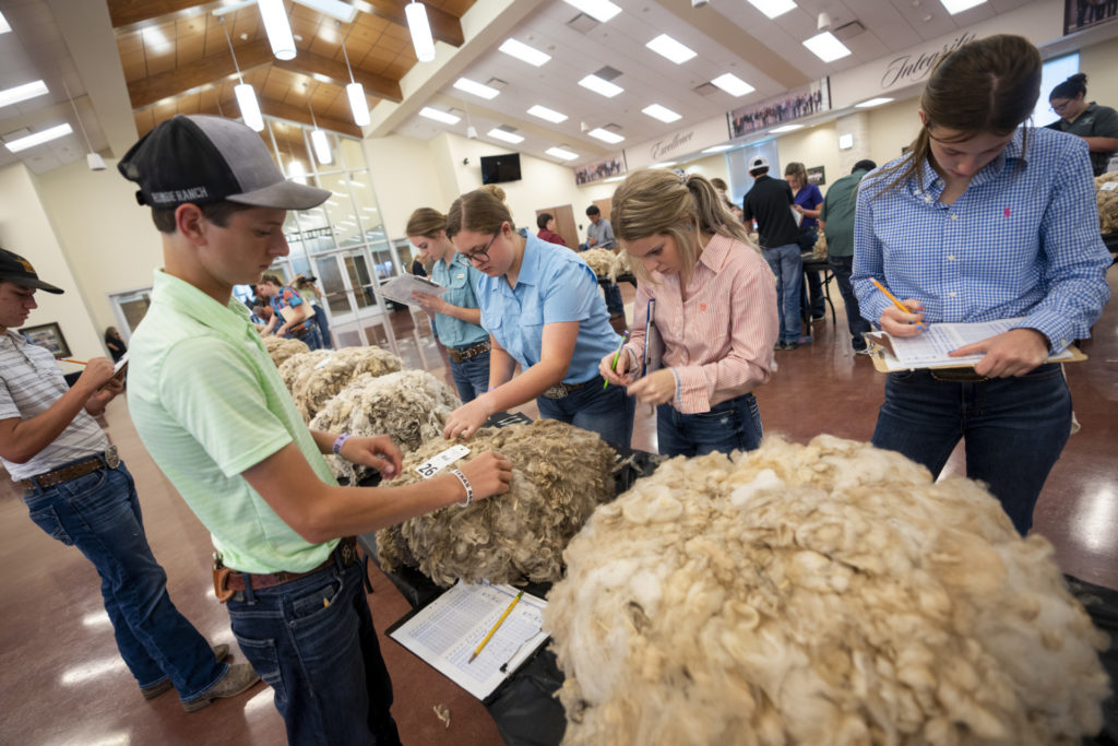 Students with clipboards and pencils gather in front and behind bundles of wool in the Wool judging at the 2022 Texas 4-H Roundup