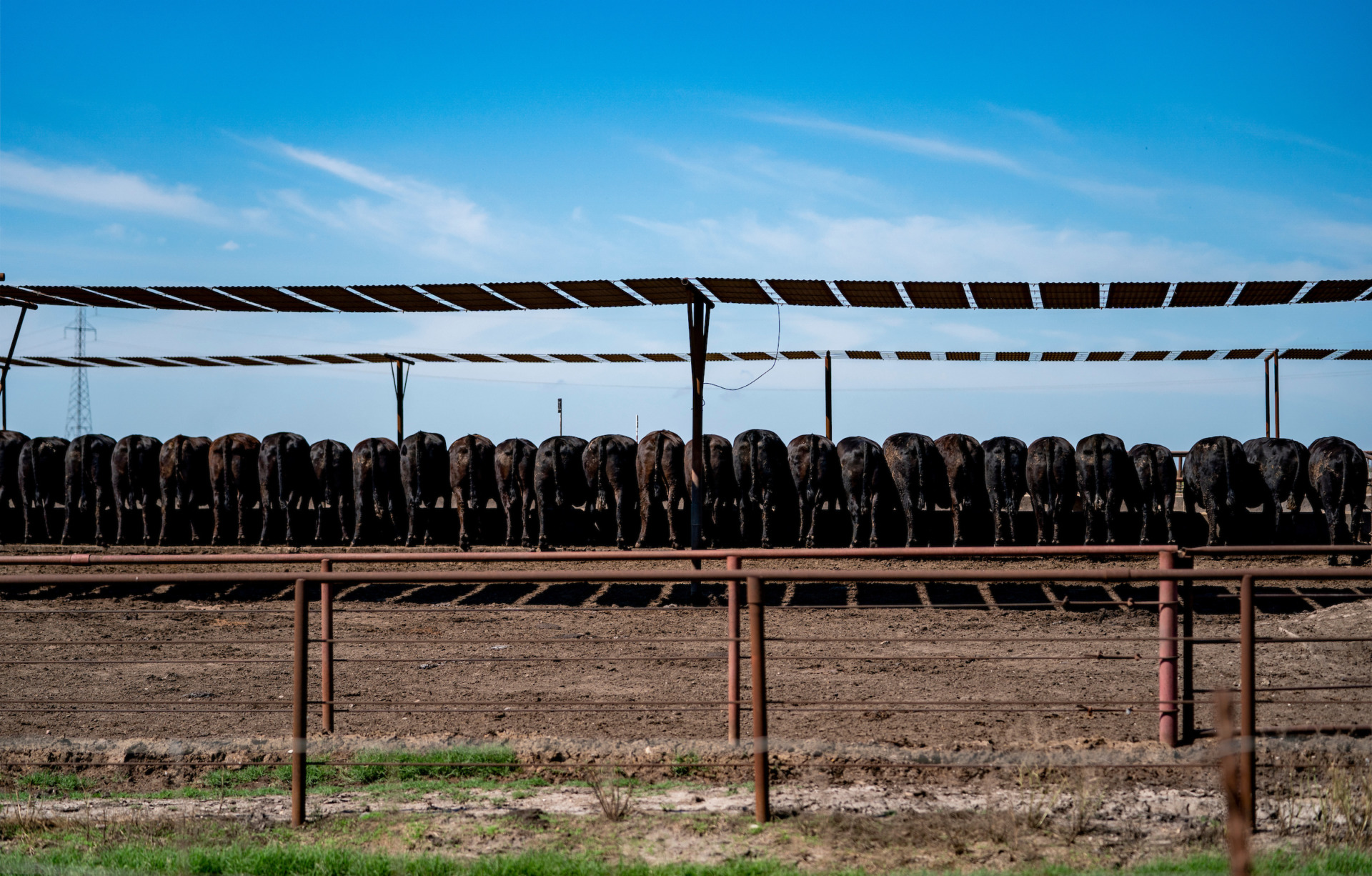 ‘Texas Animal Manure Management Issues’ set Aug. 10-11 in Fort Worth