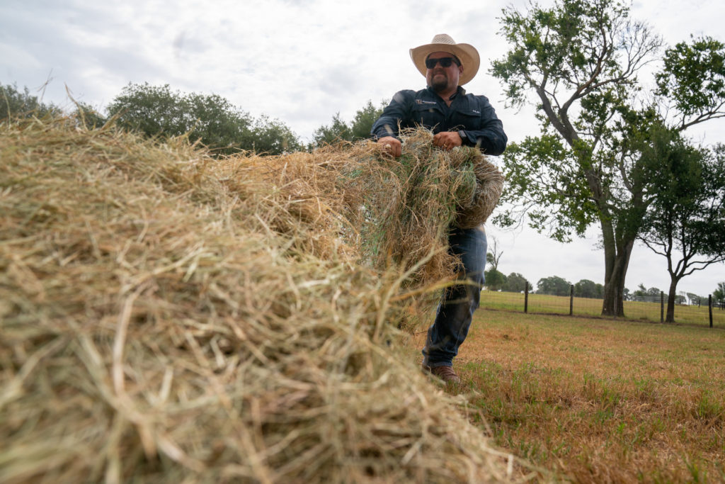 A producer stringing out hay for his cattle. The hay bale is in teh foreground and the rancher, wearing a blue short, white cowboy hat and sunglasses is behind it.