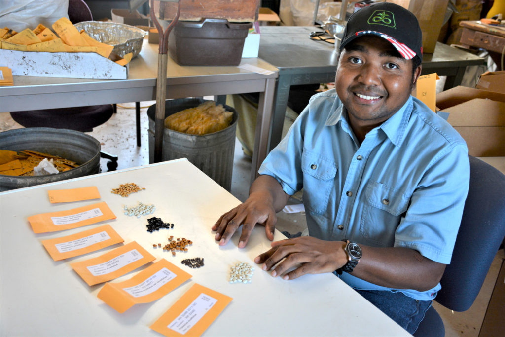 A smiling man in a blue shirt sits at a table working with multiple piles of tepary beans and envelopes.
