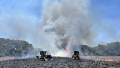 Dozers and Smoke at the Dry Rice Fire