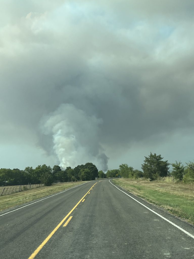 a roadway leads right into a wooded area with a white and gray smoke plume billowing into the sky from distant wildfires