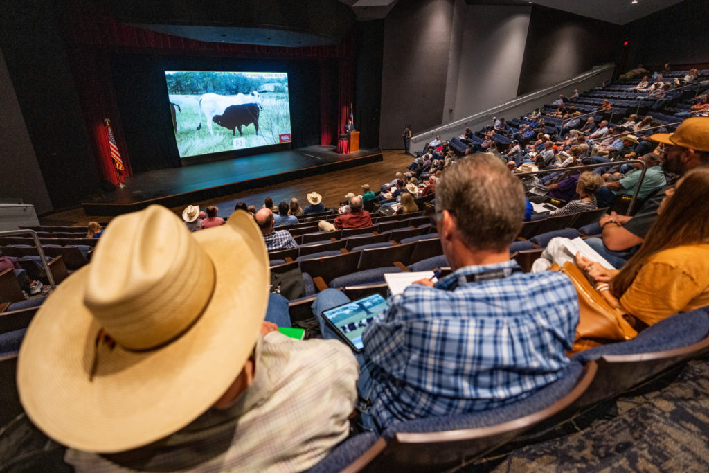 Beef Cattle Short Course participants sit in an auditorium listening to a presentation with a screen picturing a cow-calf pair