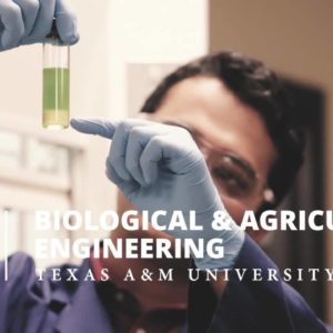 Texas A&M Department of Biological and Agricultural Engineering moves up in national program ranking