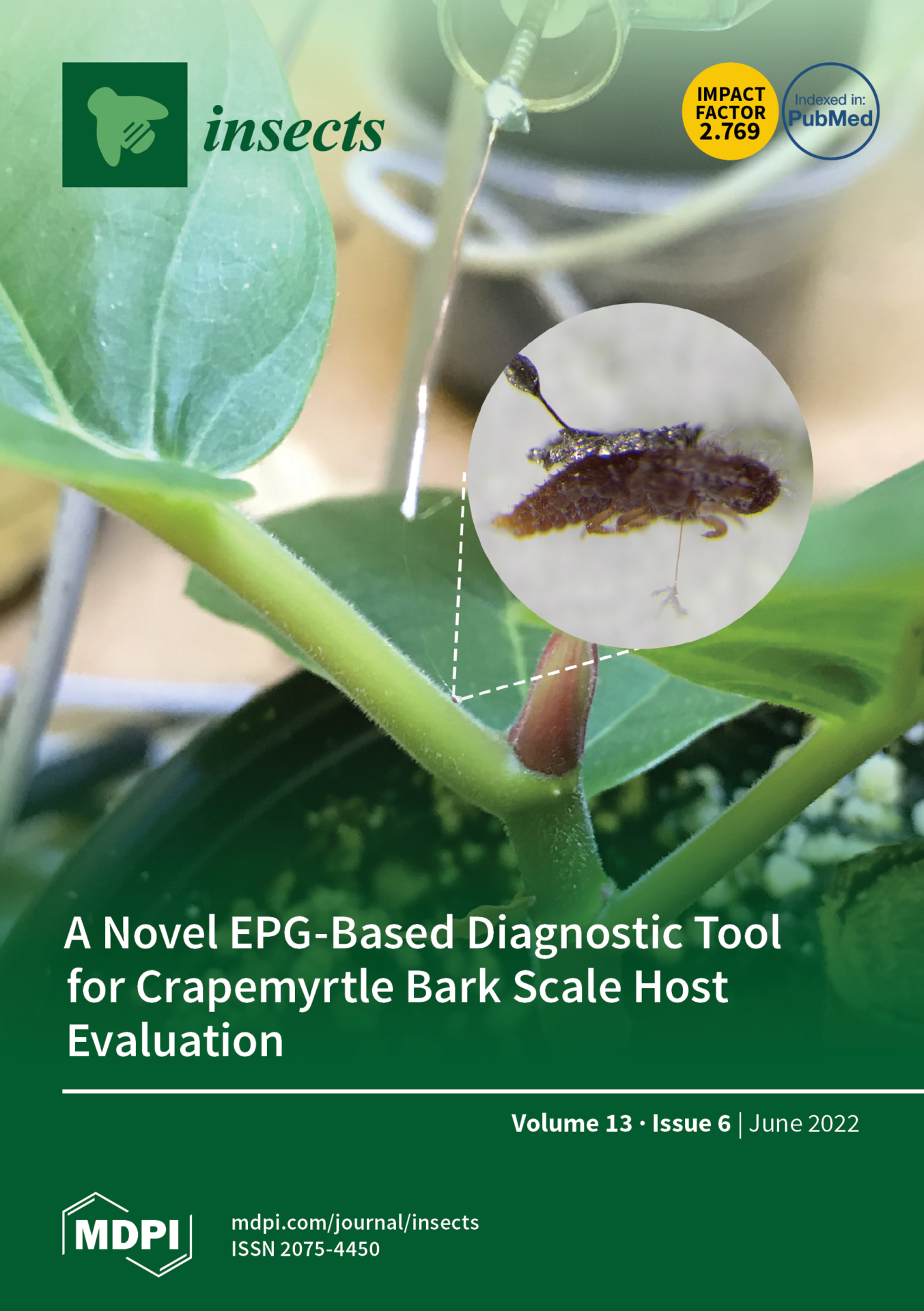 How to Control Crapemyrtle Bark Scale! - The Good Earth Garden Center