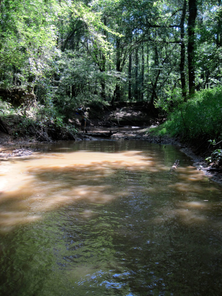 Part of the La Nana Bayou in Nacogdoches. The banks are covered with trees and lush green vegetation and the water has few ripples and is a brown/green shade.