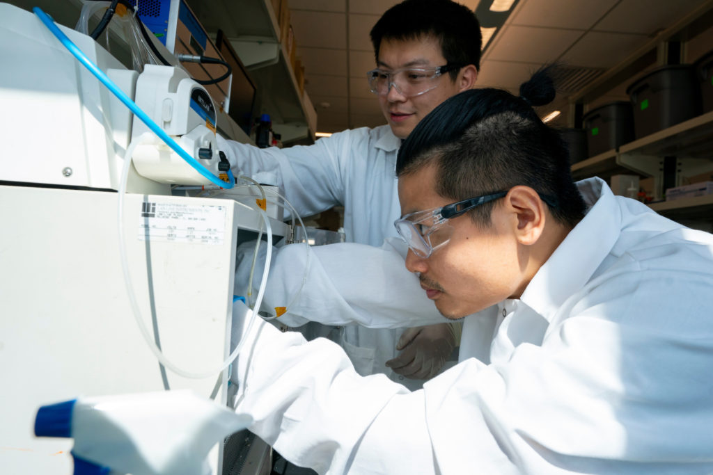 Peng Zhang and Kainan Chen work in the laboratory on bioplastics system.