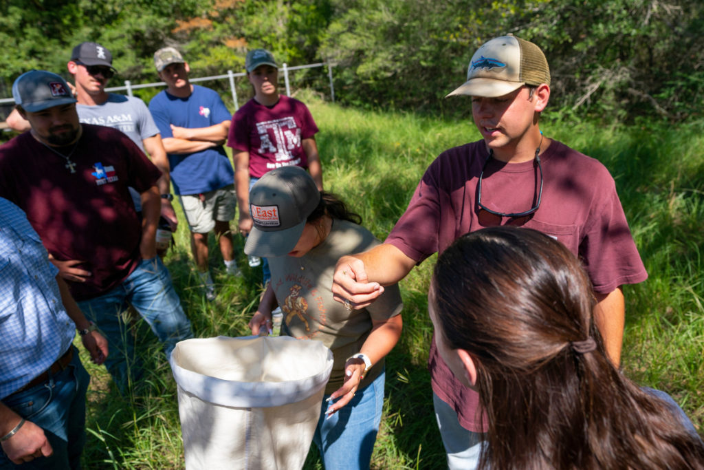 Niche Ranks College Of Agriculture And Life Sciences Agrilife Today