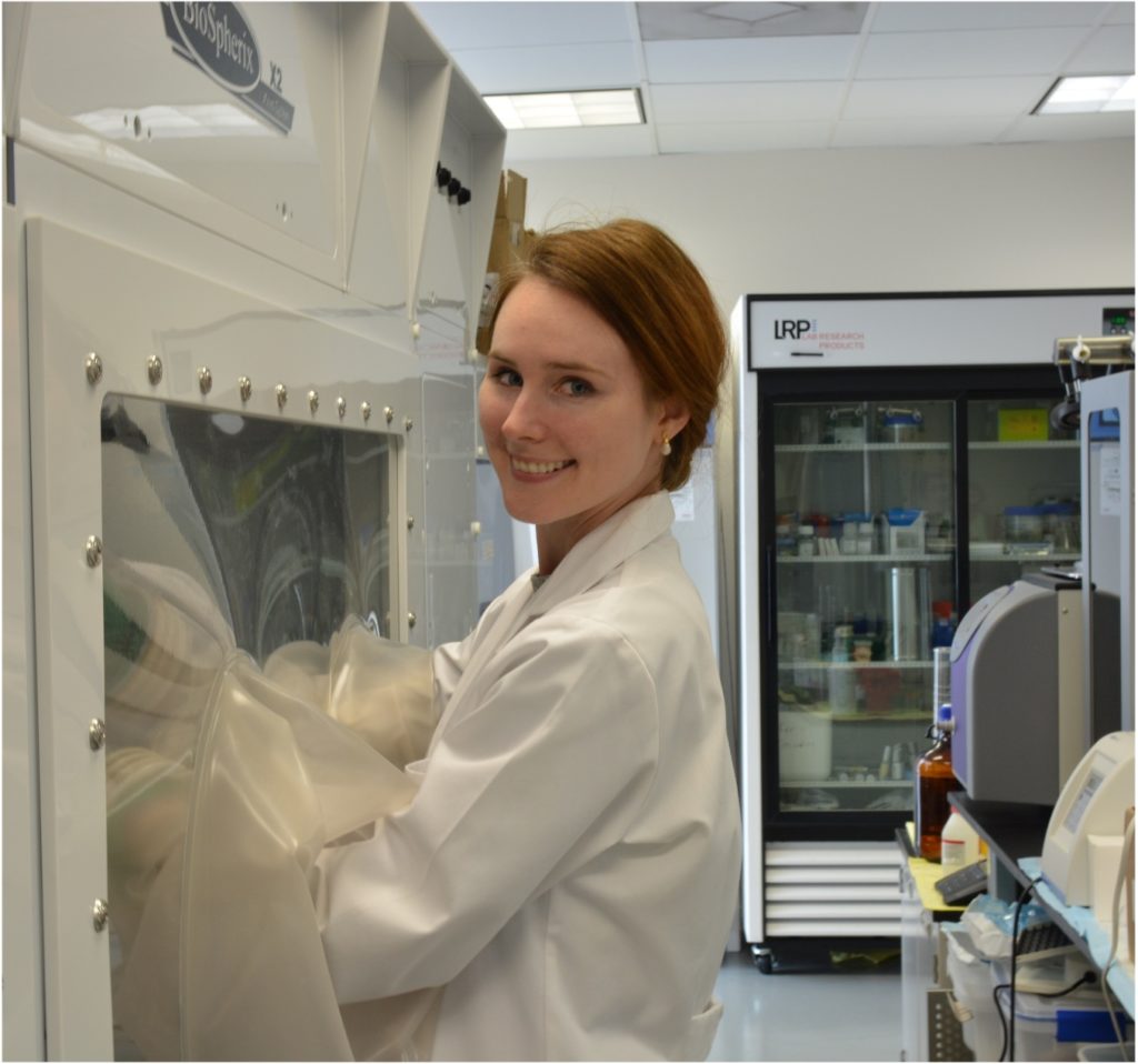 Former student Lauren Cornell, Ph.D., working in the lab. 