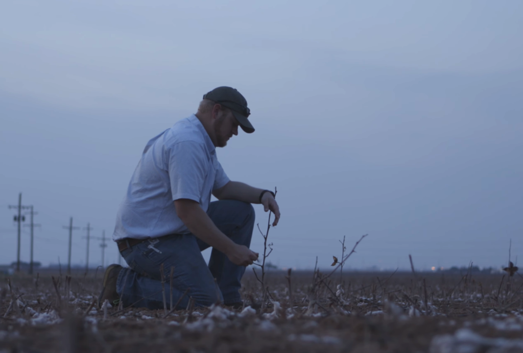 Pondering the subject of mental health, Grant Heinrich kneels in a cotton field