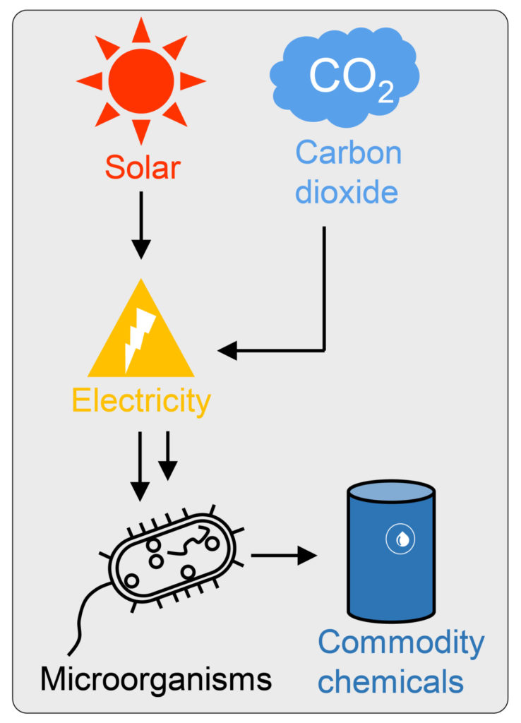 Graphic of bioplastics production process depicting solar power from the sun, carbon dioxide (CO2) production in the clouds, electricity, microorganisms and commodity chemicals