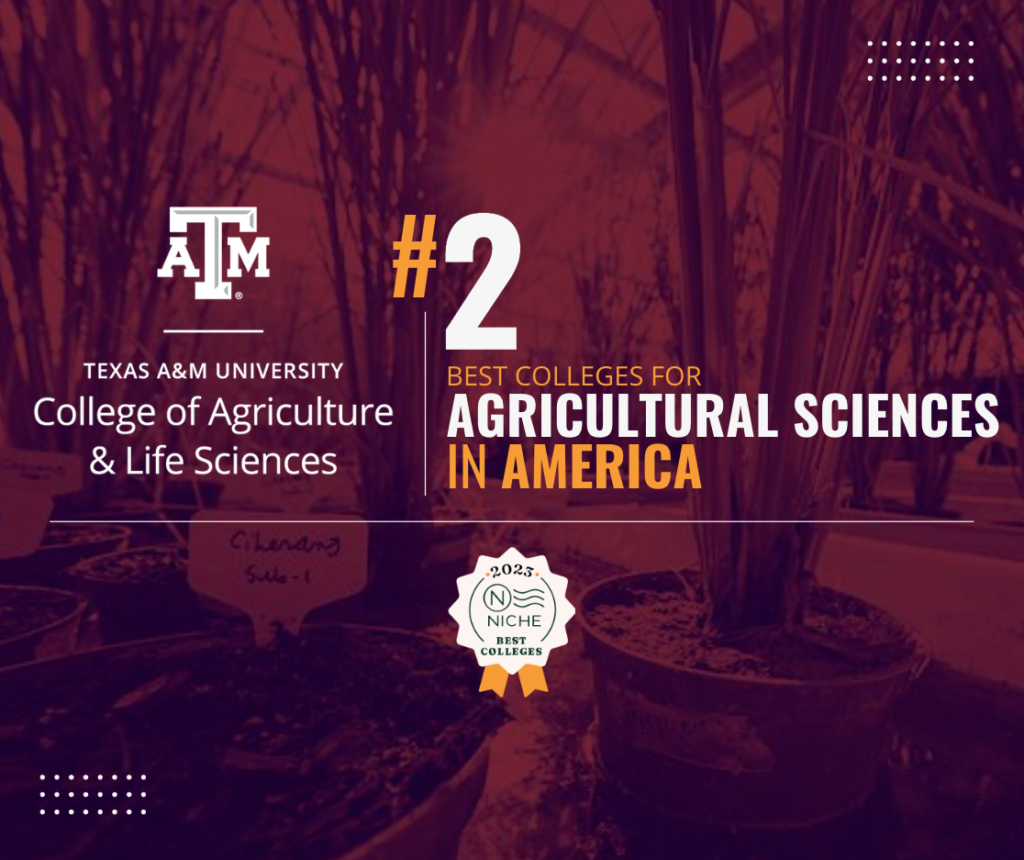 A graphic with the words Texas A&M University College of Agriculture and Life Sciences #2 Best Colleges for Agricultural Sciences in America