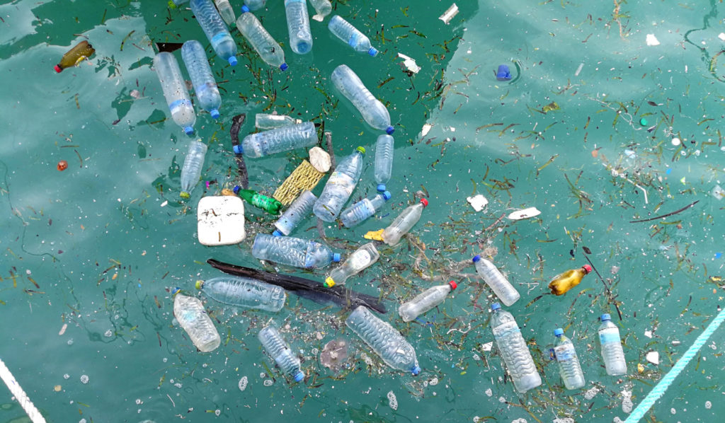 Plastic bottles floating in water.