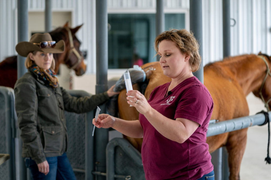 Two women stand beside a horse with one holding the tail and another holding a tube of white liquid